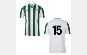Le maillot des 15 ans